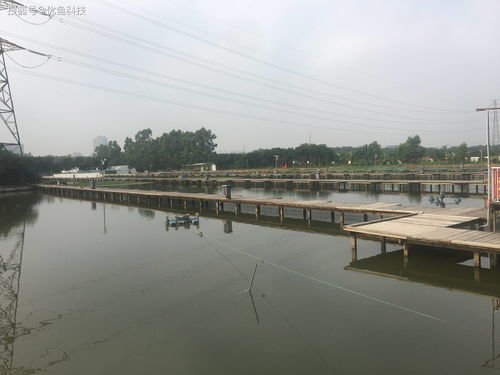 優(yōu)魚(yú)科技 科技助力水產(chǎn)養(yǎng)殖，引領(lǐng)傳統(tǒng)養(yǎng)殖模式轉(zhuǎn)型升級(jí)