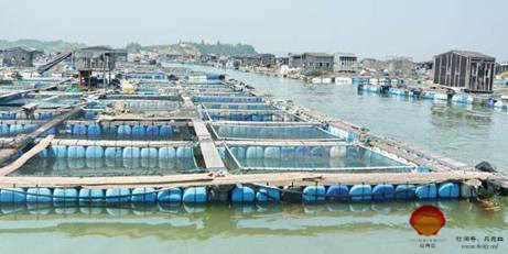 貝類養(yǎng)殖總體介紹