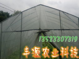 工廠化水產養殖系統 現代水產養殖的高效革命