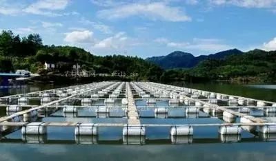 水產養殖業如何實現綠色發展 路徑、挑戰與未來展望