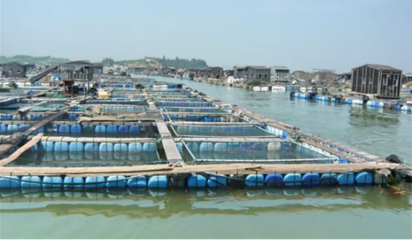 喜訊！饒平縣水產(chǎn)養(yǎng)殖區(qū)成功獲評省級示范區(qū)