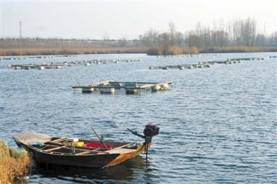 東明聯(lián)社“貸”出水產(chǎn)養(yǎng)殖新天地