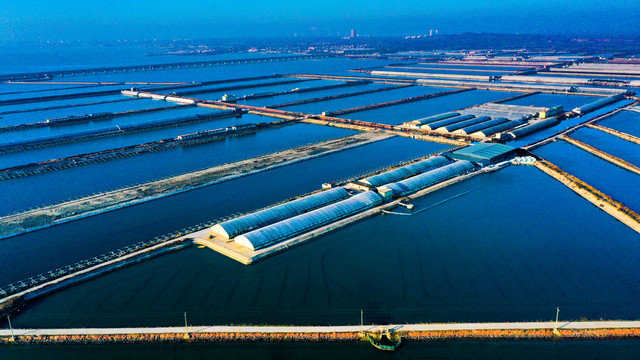 海產(chǎn)養(yǎng)殖與水產(chǎn)養(yǎng)殖 藍色經(jīng)濟下的機遇與挑戰(zhàn)