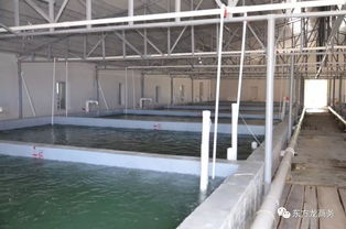 東方龍商務(wù)高端水產(chǎn)養(yǎng)殖全國(guó)布局項(xiàng)目政府對(duì)接會(huì)即將召開，共繪產(chǎn)業(yè)發(fā)展新藍(lán)圖