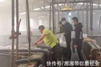 濱州市開展冬季工廠化養(yǎng)殖水產(chǎn)品監(jiān)督抽查 20批次全部合格彰顯質(zhì)量安全